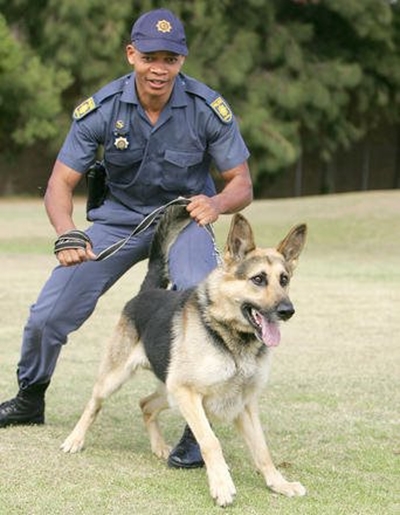 Plett K9 to get crime-fighting partner