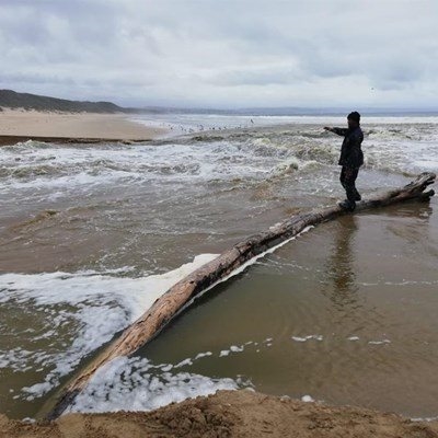 You can still swim in estuaries and lagoons