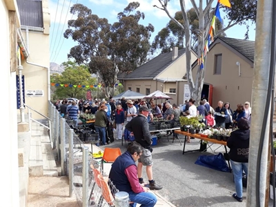 Calitzdorp Succulent Festival next week