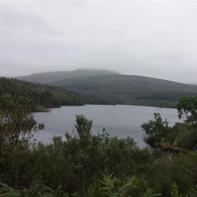 Garden Route dam level at 81,14%