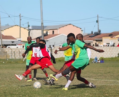 Oriented Birds fly into quarters