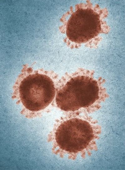 Coronavirus: First case confirmed in South Africa
