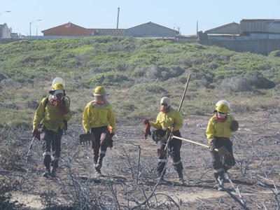 Major decline in WC fires in December