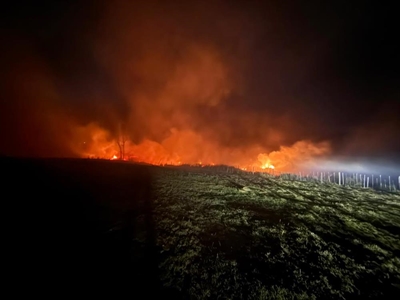 Wildfire safety: How to secure your home before and during a fire