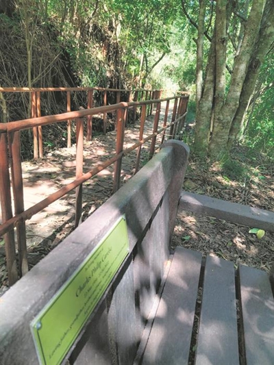 Gedenkbankie in botaniese tuin vir Charles Carelse