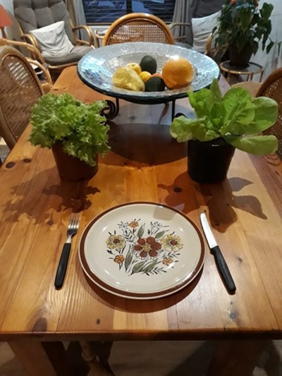 Blombos Kwekery