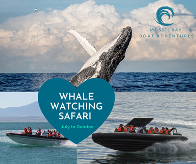 Mossel Bay Boat Adventures 