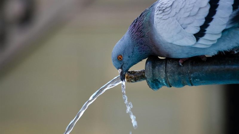 The fight to balance South Africa’s water demand and supply