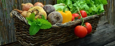VAT-exempt foods: Cabinet wants to expand list