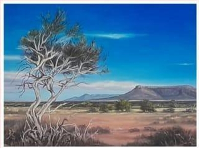 Local artists on show