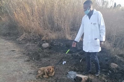 Germiston Bedfordview SPCA hit twice by looters