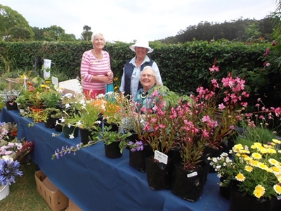 Green fingers show their best hand