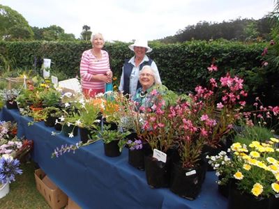 Green fingers show their best hand