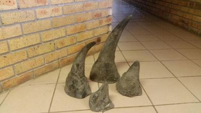 KZN police intercept suspected rhino poachers