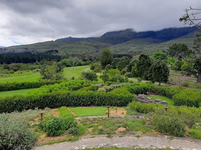 Friday Night Market at Botanical Garden