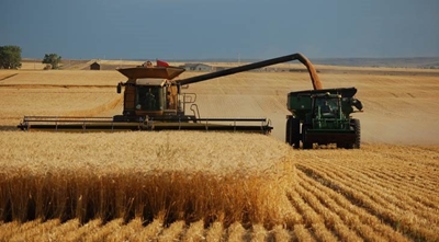 Stronger rand boosts drought-stricken agri industry