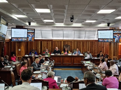 Motion brought in council about Harry Giddey Park