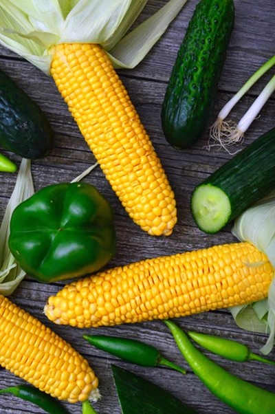Productive farming necessary for stability of SA