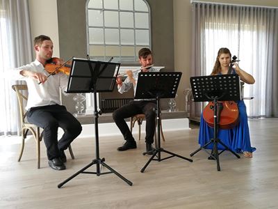 Classical trio play to packed crowd