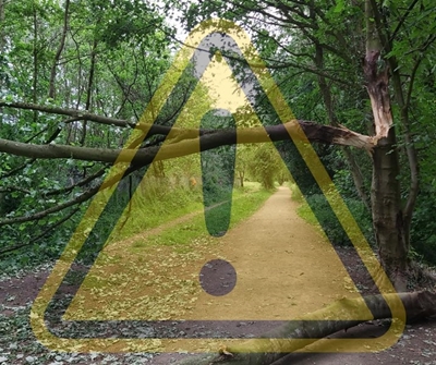 Weather warning: Damaging winds