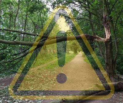 Weather warning: Damaging winds