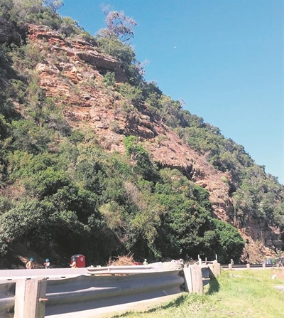 Clearing of vegetation at Kaaimans a concern