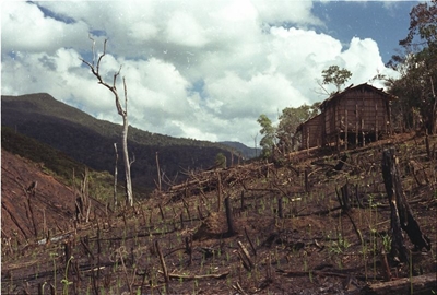 Ecological land grab: food vs fuel vs forests