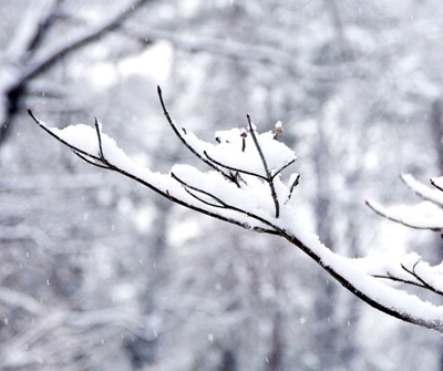 South Africa set for widespread snow this week