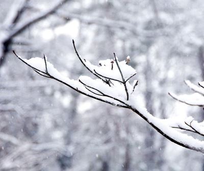 South Africa set for widespread snow this week