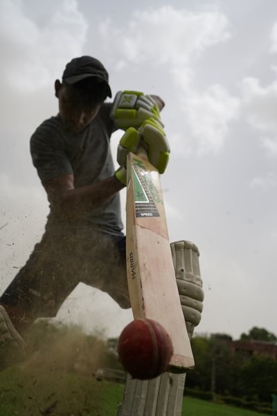 Cricket results: Promotion, Reserve and Women's League