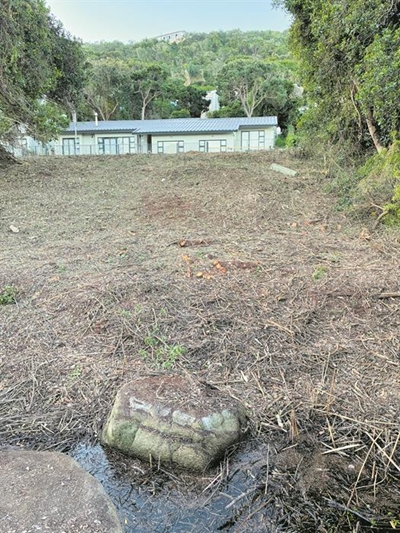 Touw’s riverbank loses vegetation ‘for the view’