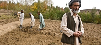 Farmers in war-torn Afghanistan hit by worst drought in decades 