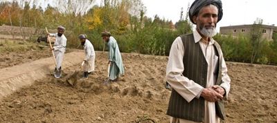 Farmers in war-torn Afghanistan hit by worst drought in decades 