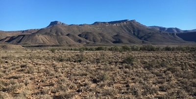 Investing in farmland in the Karoo
