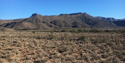 Investing in farmland in the Karoo