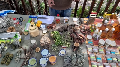 Communty unites to share indigenous plant knowledge