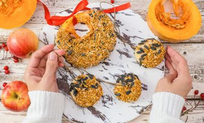 Children's craft: DIY bird seed cookies