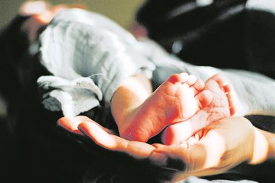 Drie pienkvoete gebore op Nuwejaarsdag