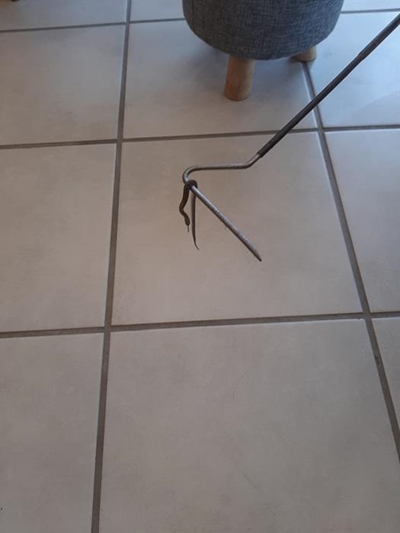 Skaapsteker jaag salon op hol