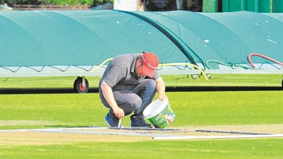 Free sessions for cricket groundsmen