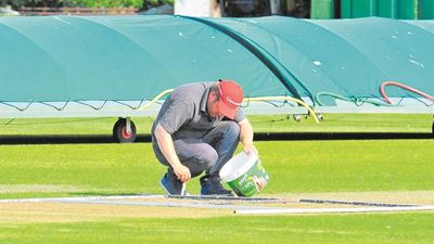 Free sessions for cricket groundsmen