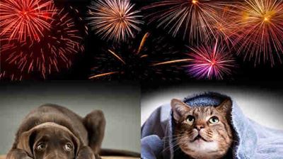 Fireworks cause havoc in George