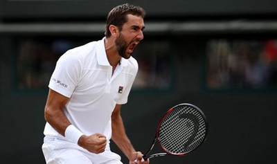 Cilic tames Edmund to reach Oz Open final
