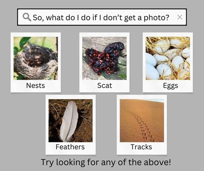 Great Southern Bioblitz 2023