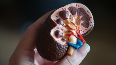Make kidney health your priority