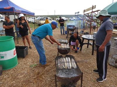 Melkies het 'n fees van gebraaide snoek en patats
