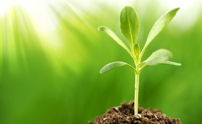 Greenpop Eden Festival of action invites public