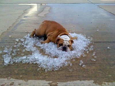 Heatwave warning for Northern Cape, Western Cape