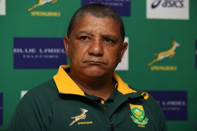 Springbok coach attacks governing body in leaked letter
