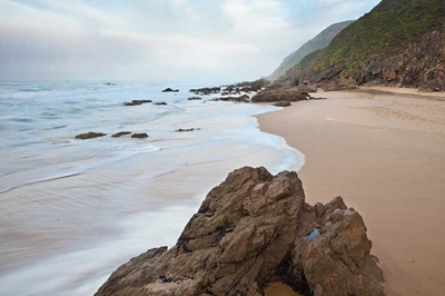 Glentana beach walk and clean-up